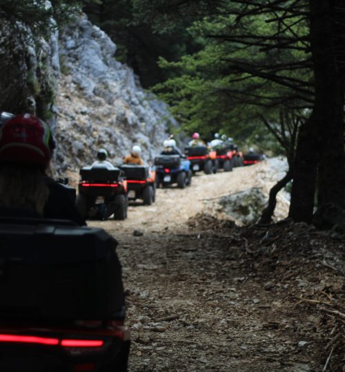 Quad safari tour in Aenos mountain Kefalonia